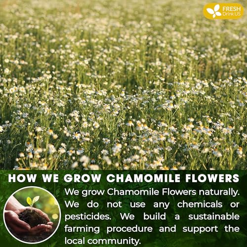 Smooth Sleep &amp; Digest Duo, Chamomile Flower &amp; Fennel Seed Herbal Tea Bags, 100% Natural &amp; Pure Flowers and Seeds, Eco-Conscious &amp; Biodegradable Tea Bags, No Sugar, No Caffeine, No Gluten, Vegan – Herbal Beverage by FreshDrinkUS - Natural and Premium Herbal Tea