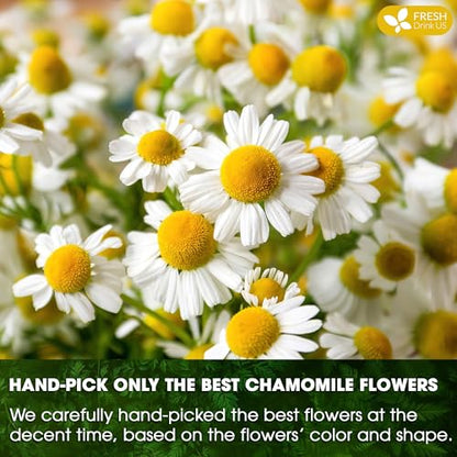 Smooth Sleep &amp; Digest Duo, Chamomile Flower &amp; Fennel Seed Herbal Tea Bags, 100% Natural &amp; Pure Flowers and Seeds, Eco-Conscious &amp; Biodegradable Tea Bags, No Sugar, No Caffeine, No Gluten, Vegan – Herbal Beverage by FreshDrinkUS - Natural and Premium Herbal Tea