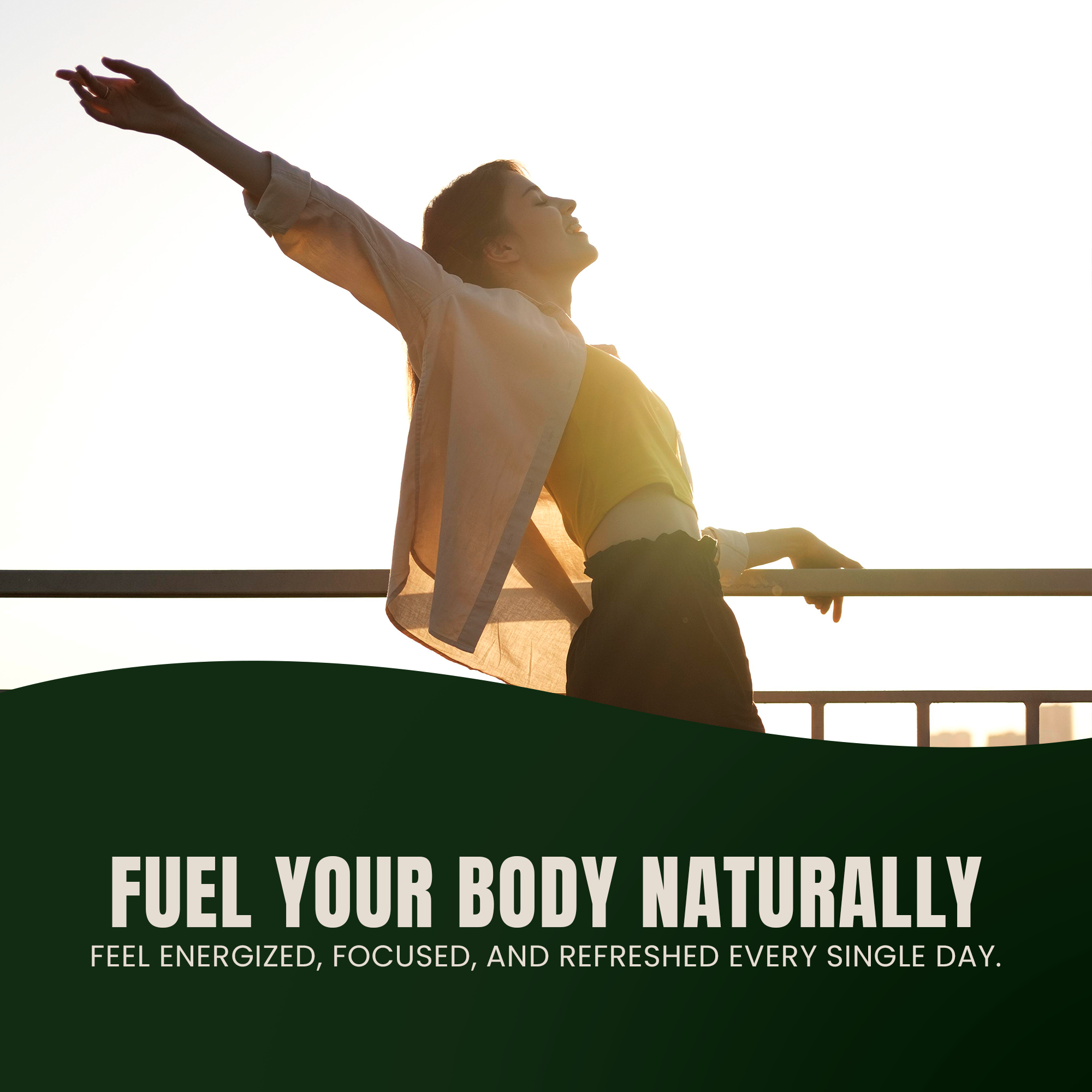 Moringa Leaf Capsules by Siba Vitamins Store