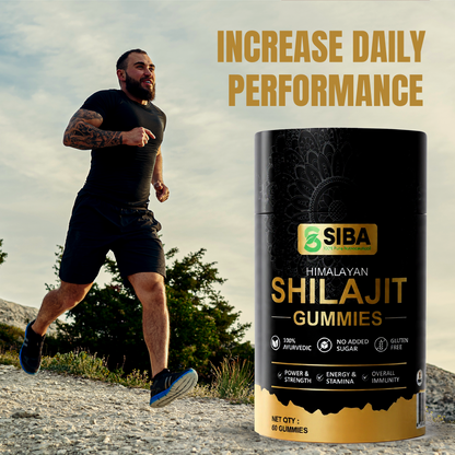 Shilajit Gummies - DestGlow