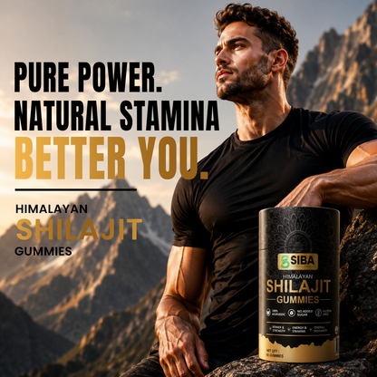 Shilajit Gummies - DestGlow