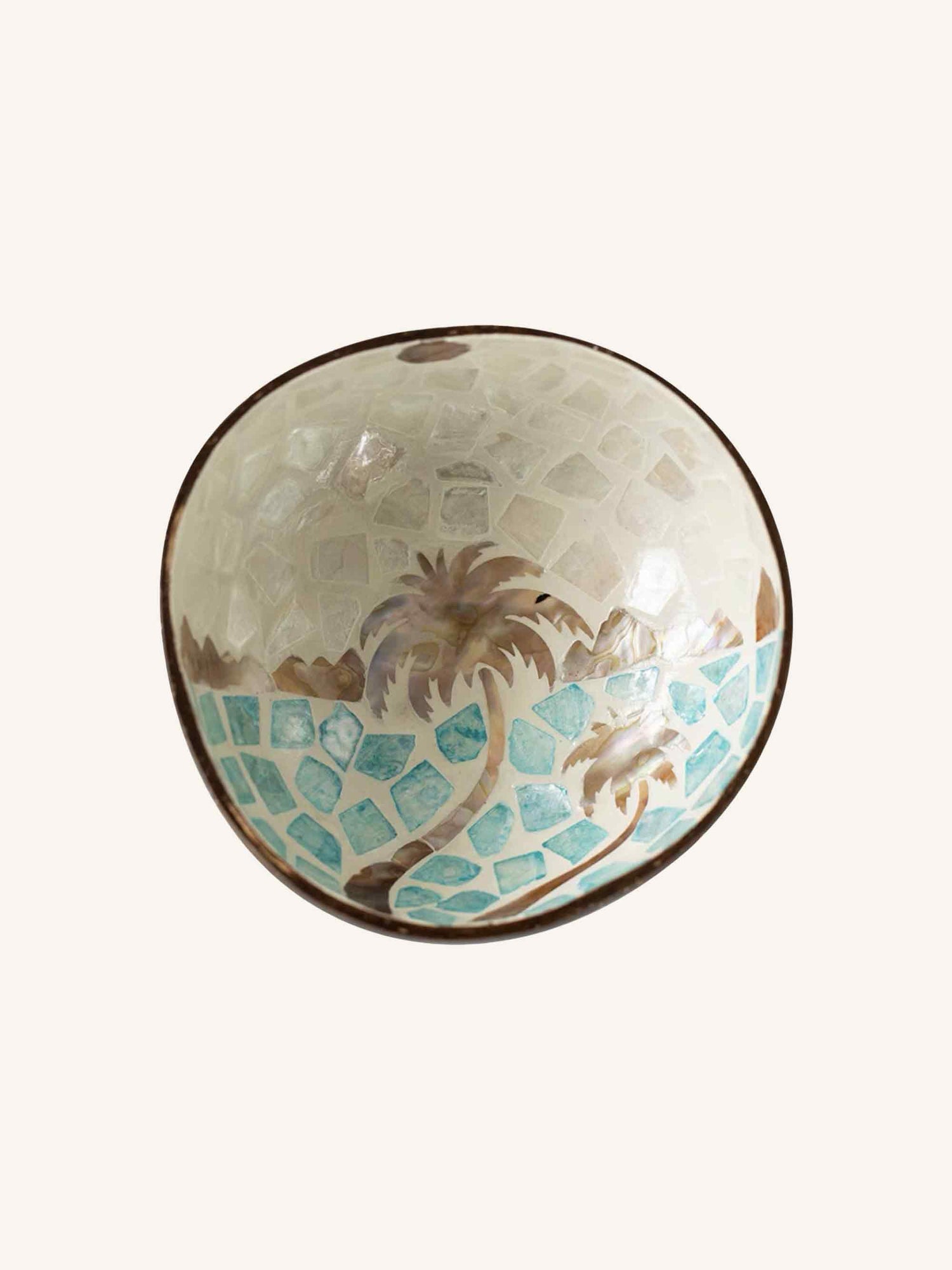 HANDMADE NATURAL SHELL COCONUT BOWL DECOR by LINTICO
