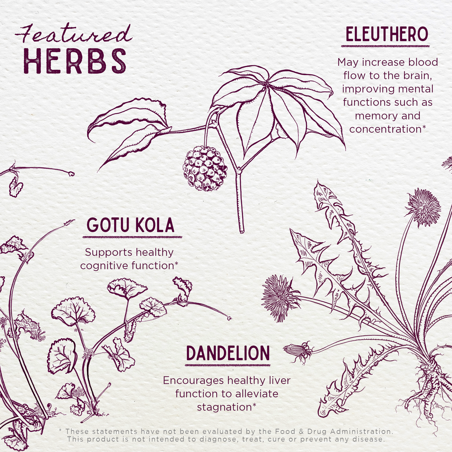 Genius Juice Cognitive Aid by WishGarden Herbs