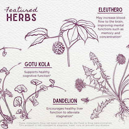 Genius Juice Cognitive Aid by WishGarden Herbs