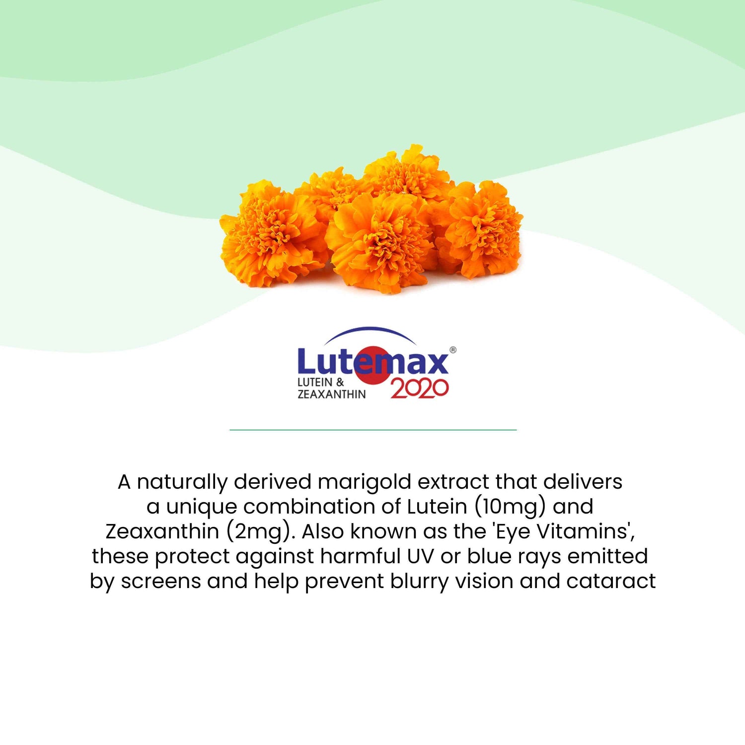 Wellbeing Nutrition Melts Eye Care Vitamins-Zesty Lime &amp; Lemon Flavor