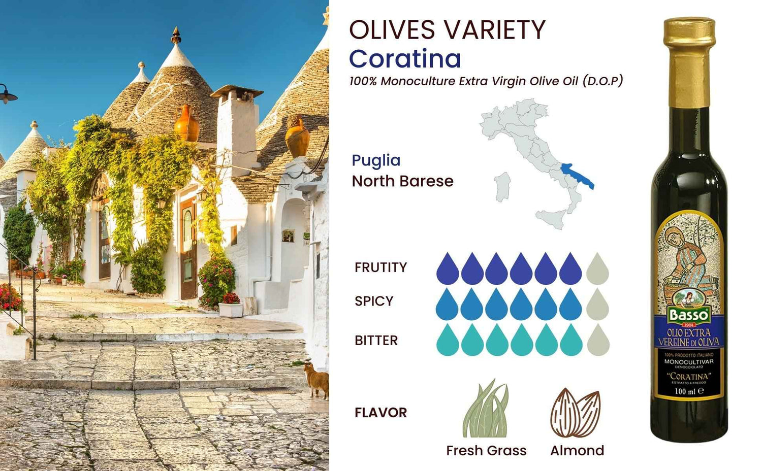 Basso 1904 Extra Virgin Olive Oil Limited Edition Gift Set (5 x 100 ml)