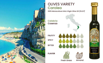 Basso 1904 Extra Virgin Olive Oil Limited Edition Gift Set (5 x 100 ml)