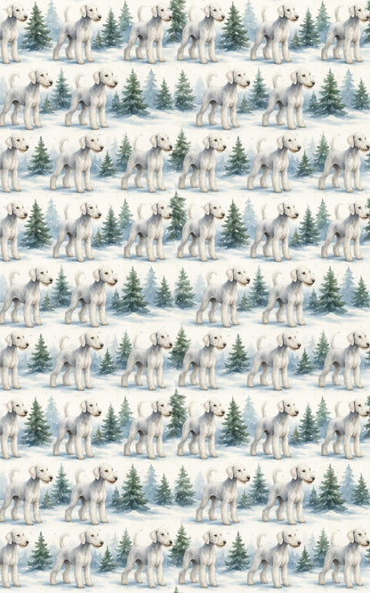 Velvet Frost &amp; Festive Whimsy