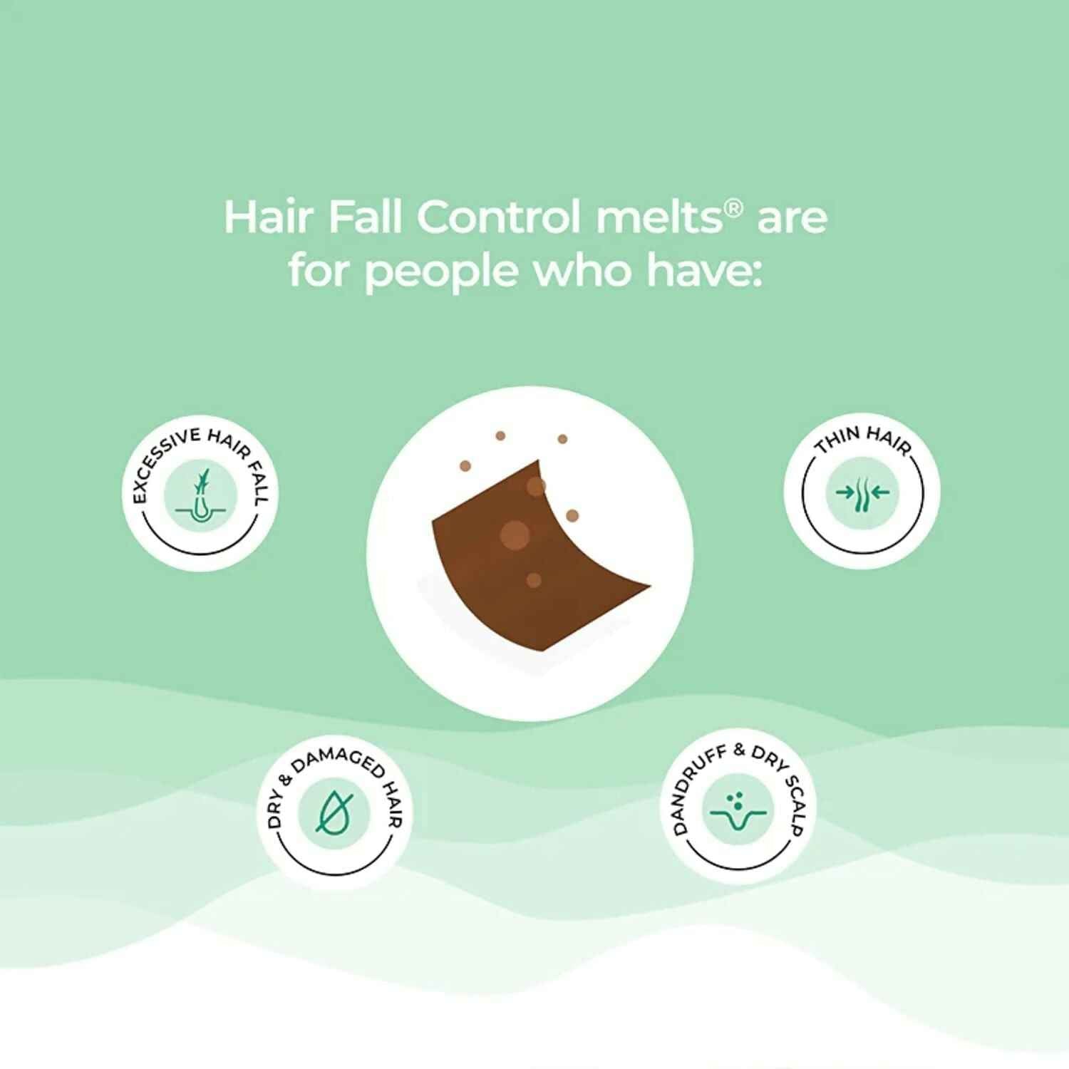 Wellbeing Nutrition Melts Healthy Hair &amp; Hair Fall Control Strips Combo