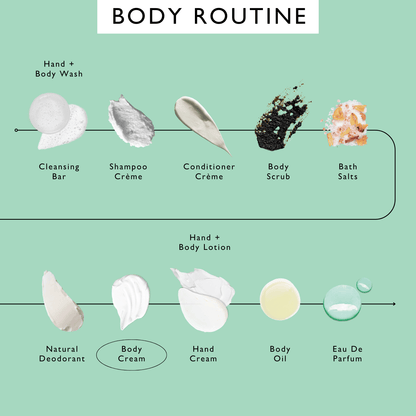 Natural Body Cream with Aloe Vera + Cocoa Butter