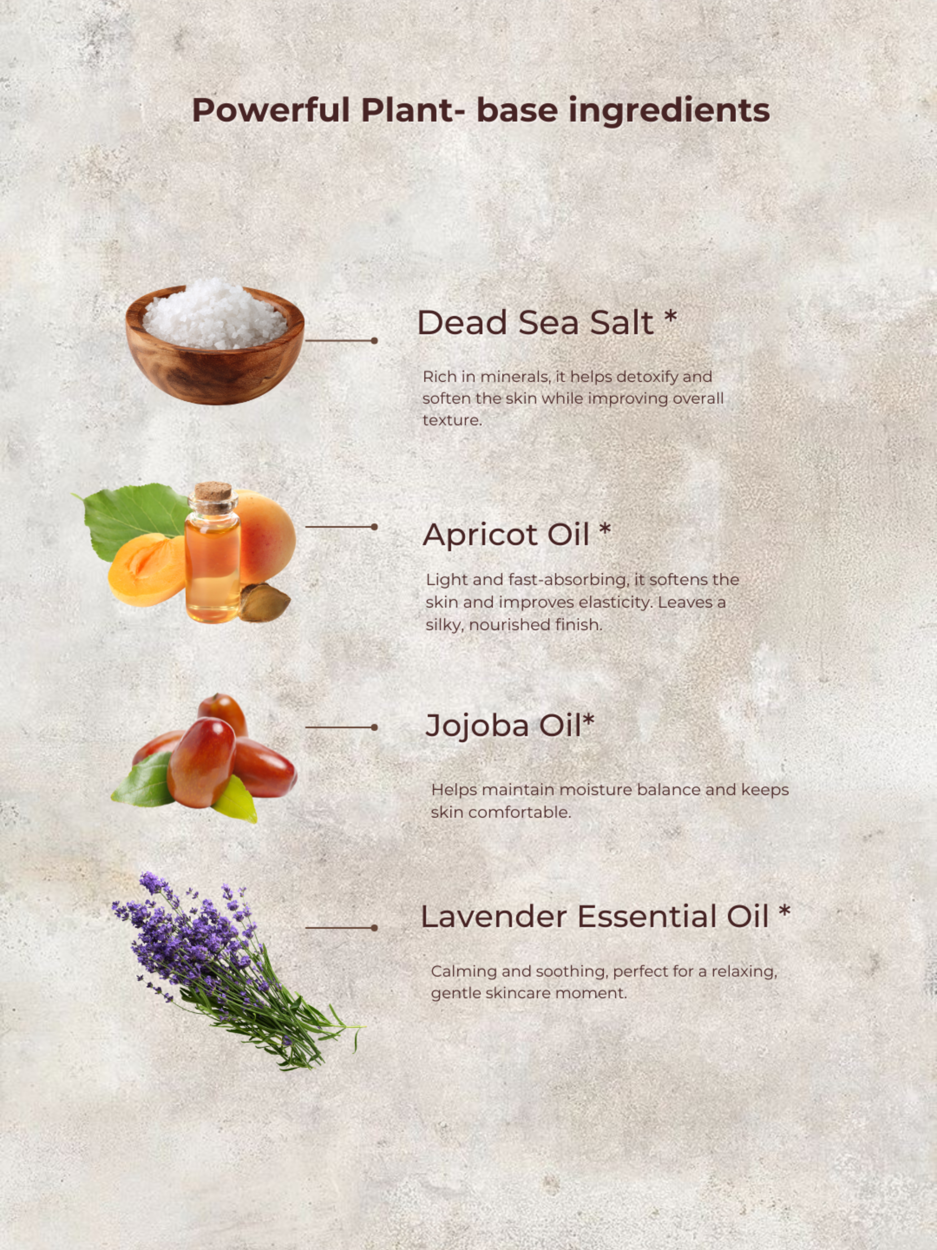 Lavender Dead Sea Salt Scrub | Medium by MION Artisan Soap Co.