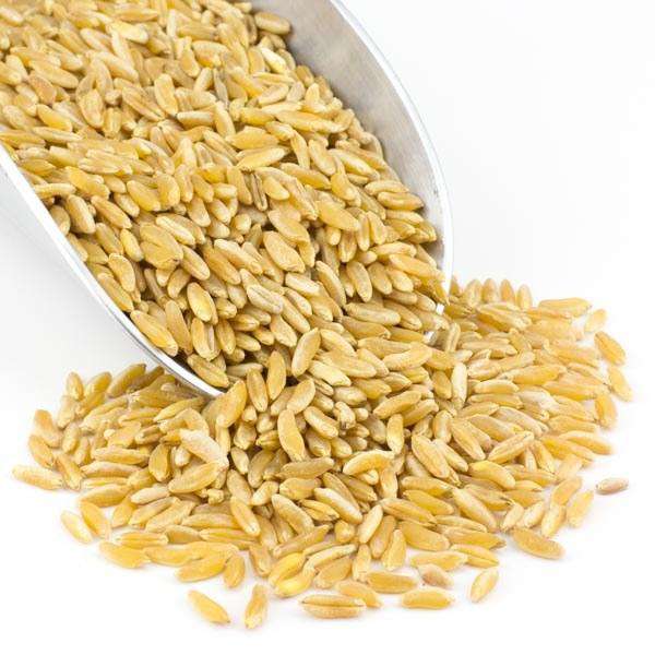 Kamut Grain, Organic by Country Life Natural Foods
