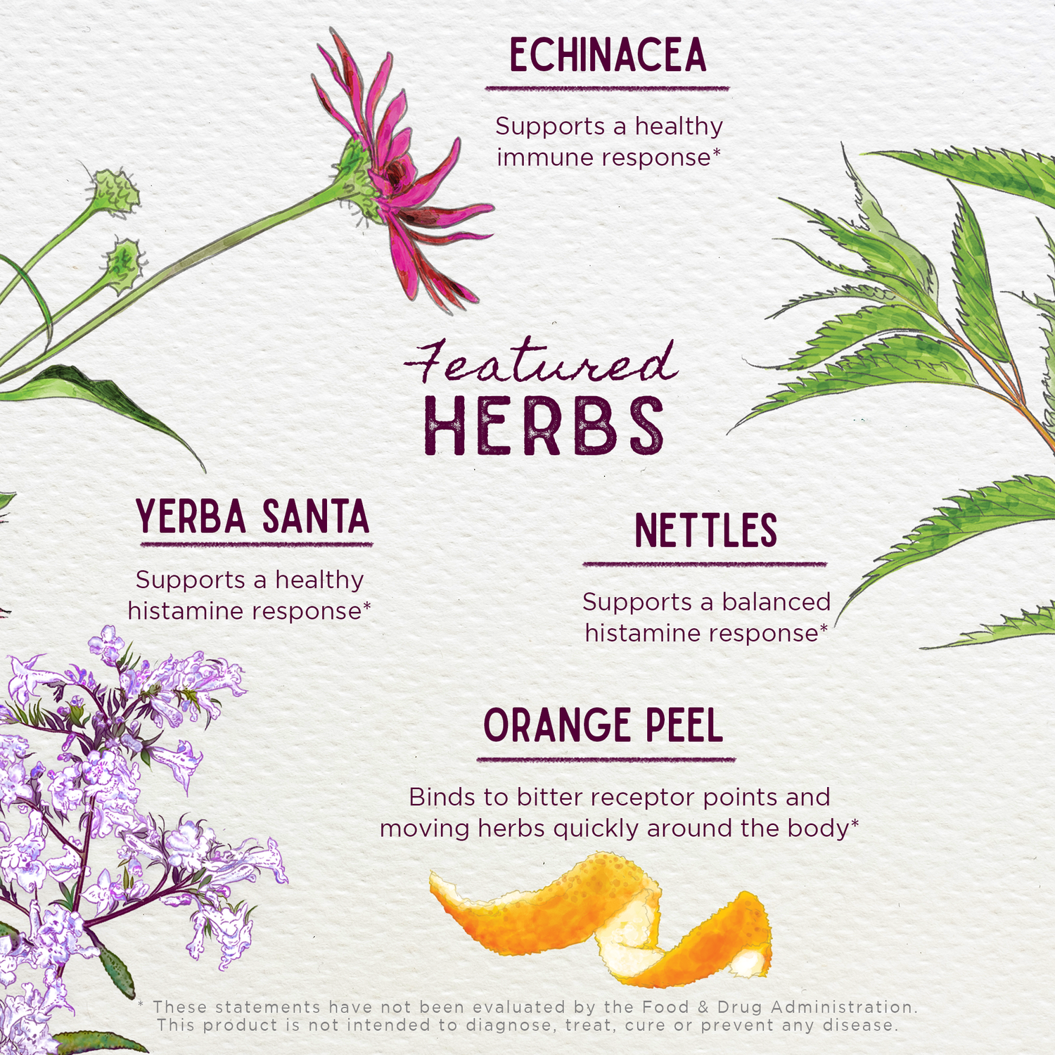 Kick-Ass Allergy &amp; Sinus Soother by WishGarden Herbs