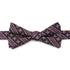 Mardi Gras Stripe Bow Tie by Cufflinks.com