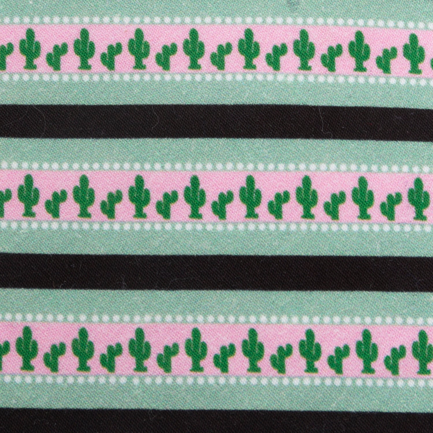 Texas Cactus Stripe Sage Men’s Tie by Cufflinks.com