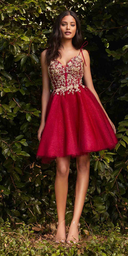 Cinderella Divine CD0188 Short A-Line Tulle and Lace Dress by DiscountDressShop