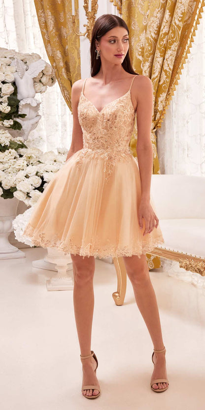 Ladivine CD0213 Short A-Line and Glitter Tulle Dress by DiscountDressShop