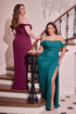 Ladivine CD387C Formal Soirées Off Shoulder Ruched Bodice Plus Size Dress by DiscountDressShop