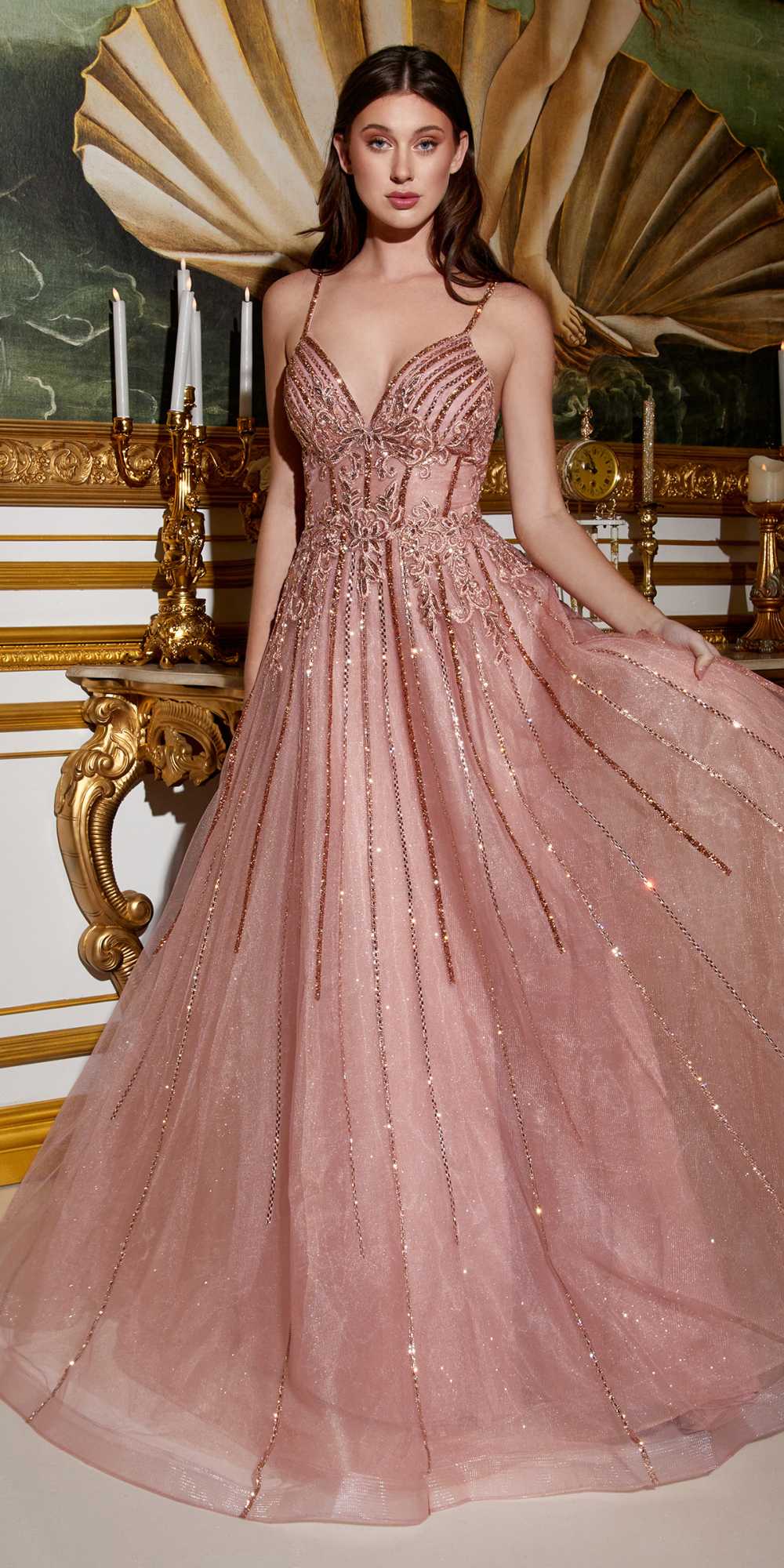 Cinderella Divine CD994 Long A-Line Beaded Tulle Gown Lace Detail V-Neck by DiscountDressShop