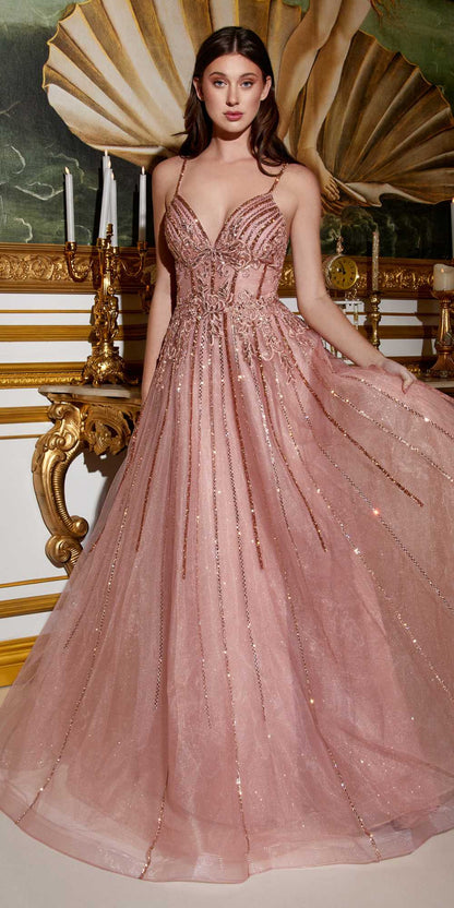 Cinderella Divine CD994 Long A-Line Beaded Tulle Gown Lace Detail V-Neck by DiscountDressShop