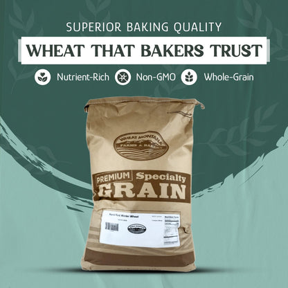 Wheat Berries, Bronze Chief (Red) by Country Life Natural Foods