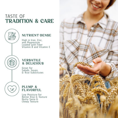 Wheat Berries, Bronze Chief (Red) by Country Life Natural Foods