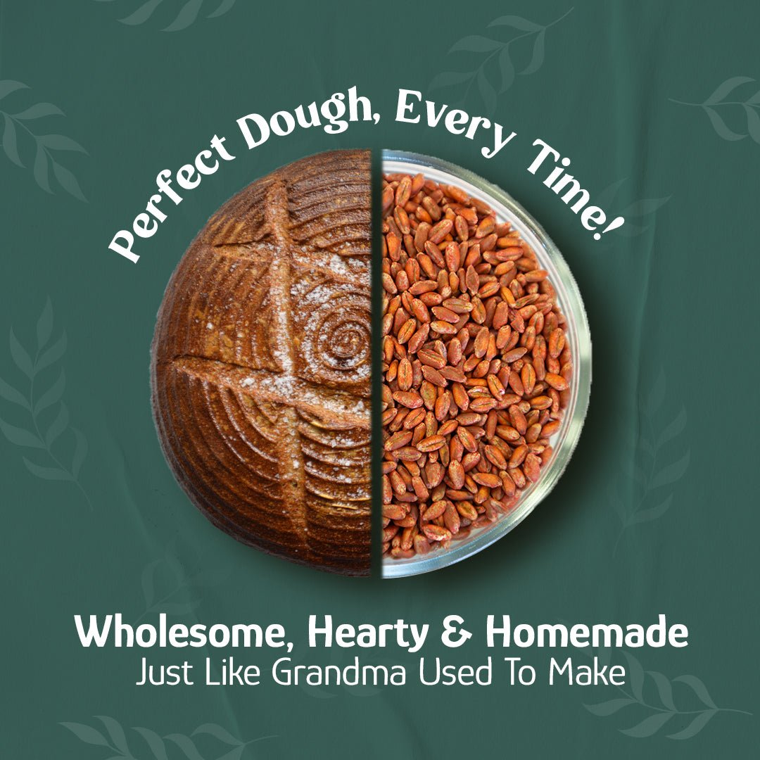 Wheat Berries, Bronze Chief (Red) by Country Life Natural Foods