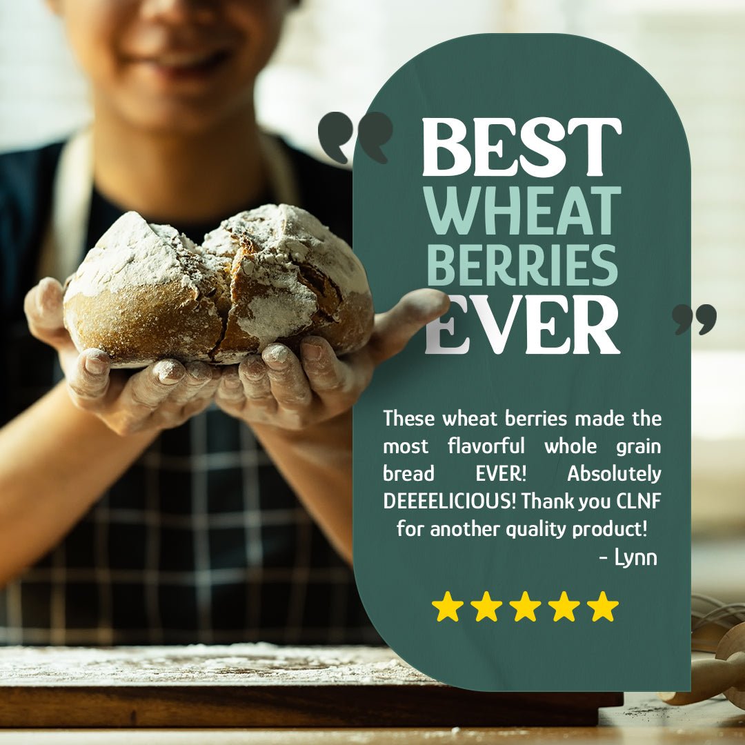 Wheat Berries, Bronze Chief (Red) by Country Life Natural Foods