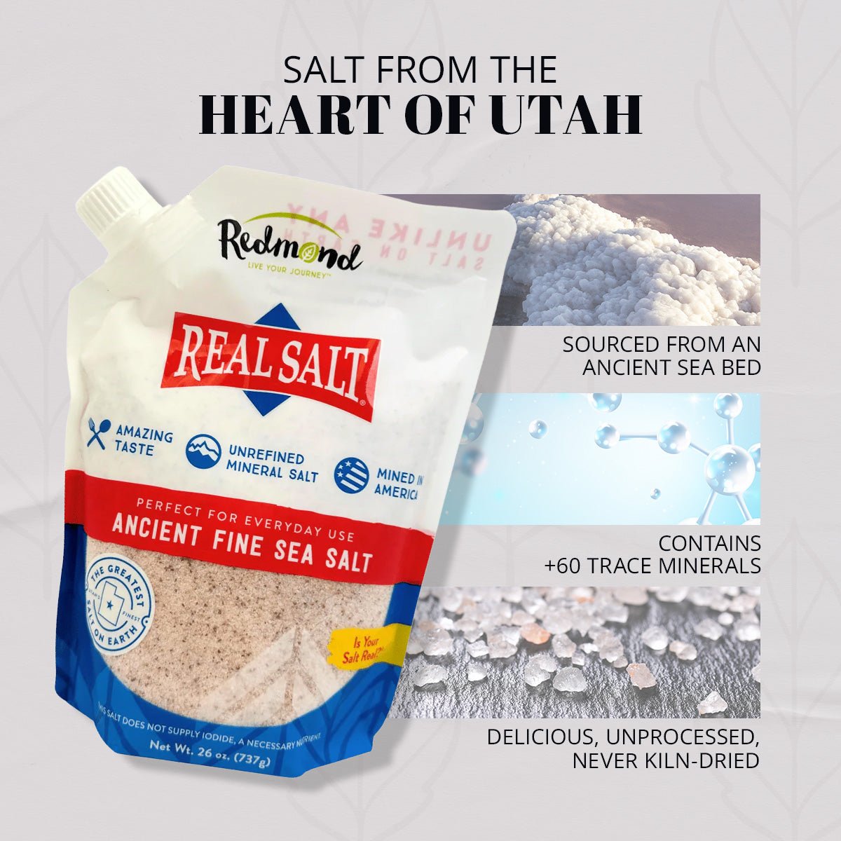 Salt, Redmond Real Salt, Fine Ground by Country Life Natural Foods