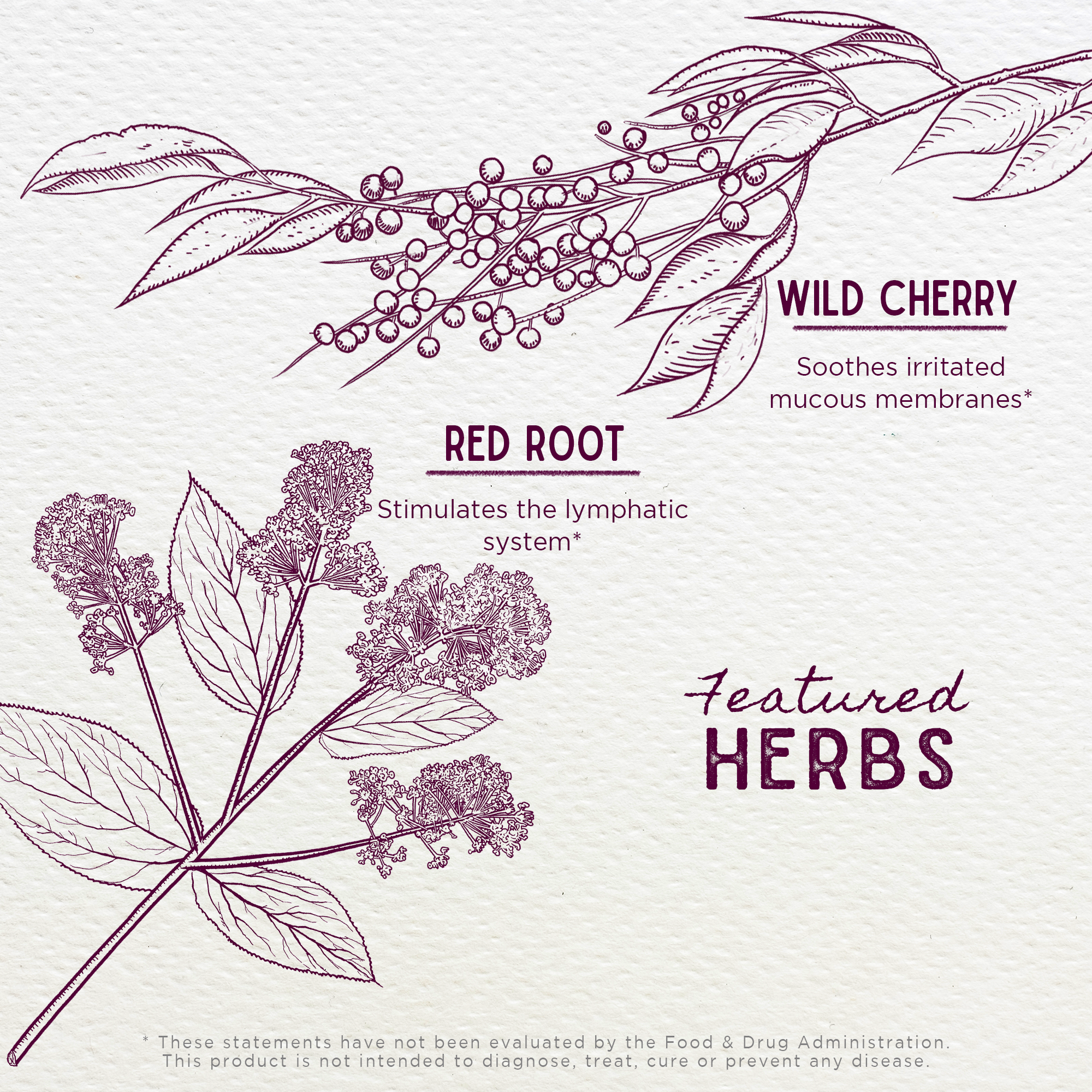 Kick-It Cough Soothing &amp; Quieting For Kids by WishGarden Herbs