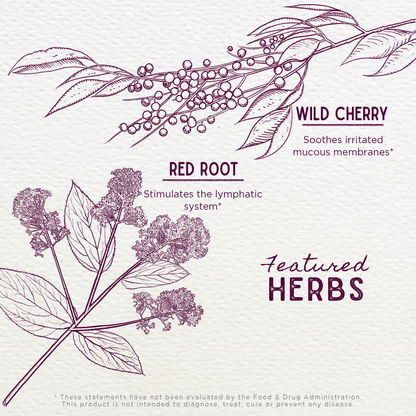 Kick-It Cough Soothing &amp; Quieting For Kids by WishGarden Herbs