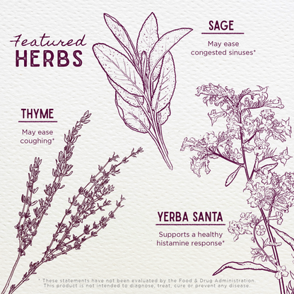 Congestion Rescue Immune Support for Kids by WishGarden Herbs