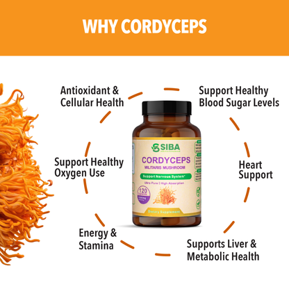 Cordyceps Mushroom Capsules