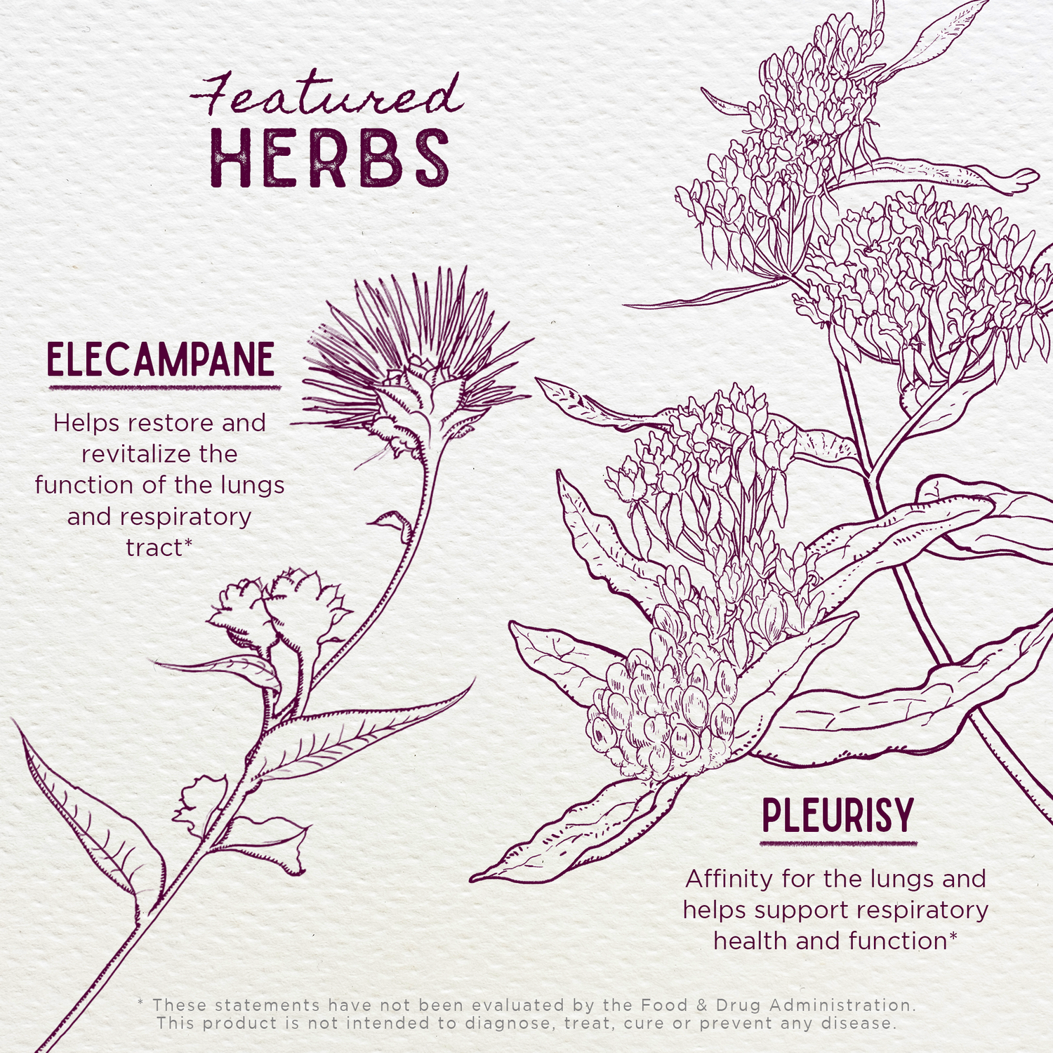 Serious Cough Soothing &amp; Quieting by WishGarden Herbs