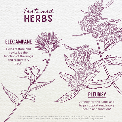 Serious Cough Soothing &amp; Quieting by WishGarden Herbs