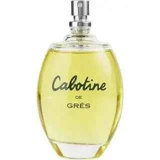 Discover the Enchanting World of Perfumes