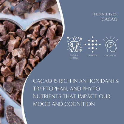 Dark Chocolate Prebiotic SuperBoost Herbal Coffee