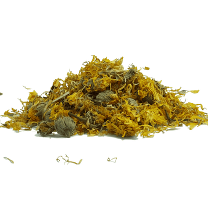 Calendula Flower
