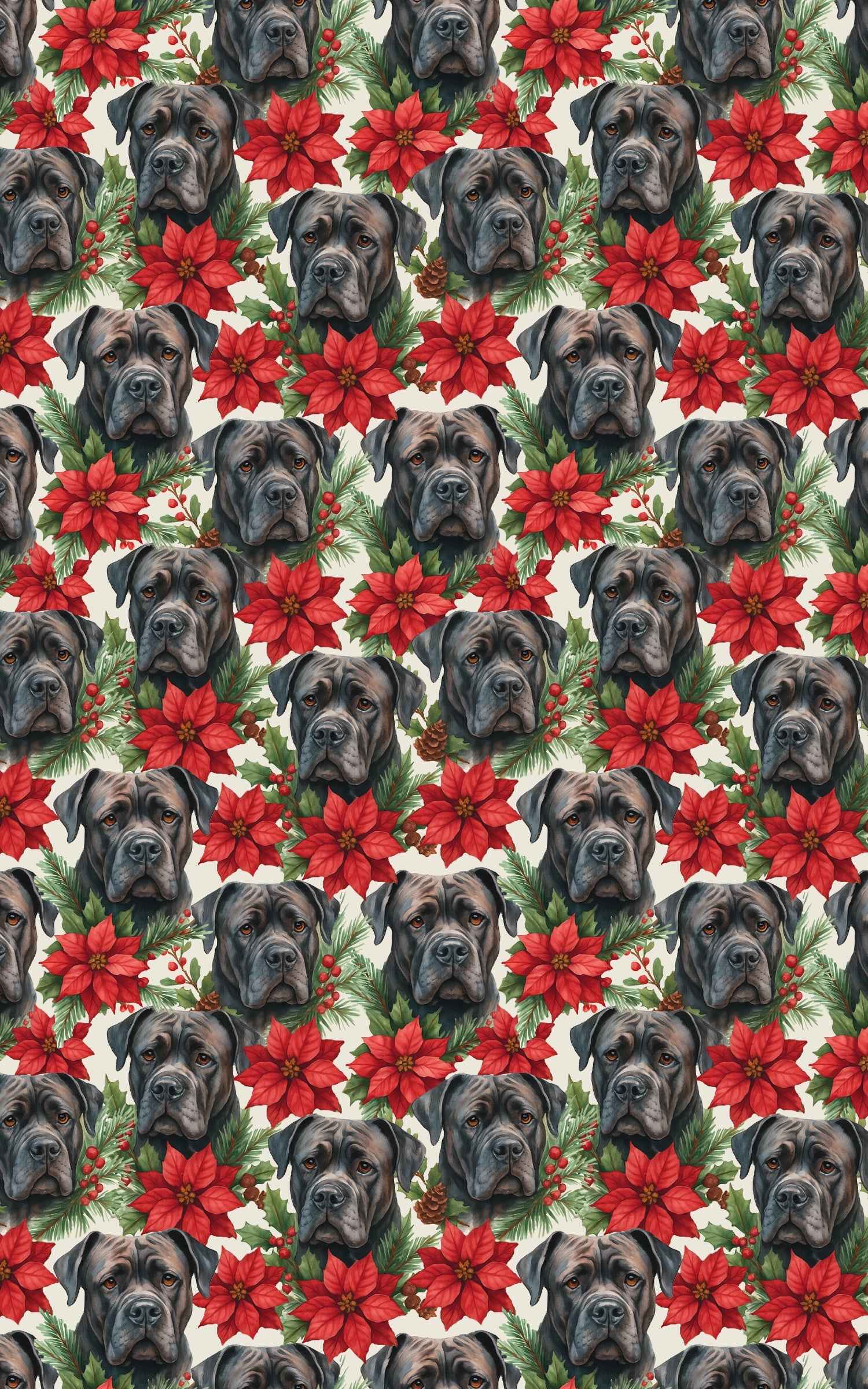 Silent Strength, Holy Night