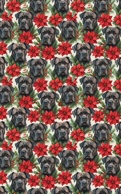 Silent Strength, Holy Night