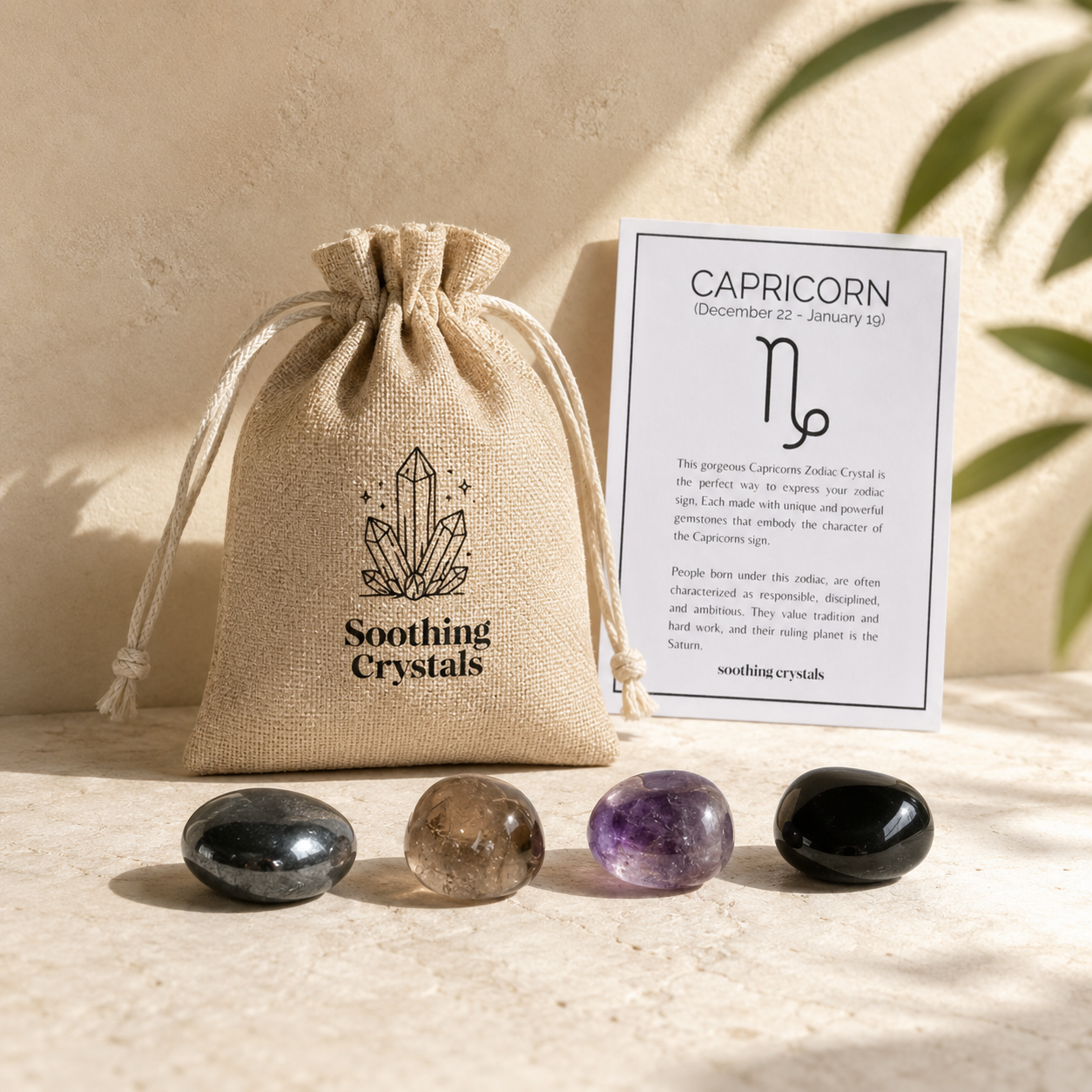 CAPRICORN Zodiac Crystal Kit, Capricorn Birthstones Tumbled Stone Set, Capricorn Gifts  DestGlow