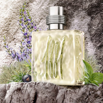 Cerruti 1881 Pour Homme By Nino Cerruti 6.7 oz EDT Spray by perfumesandrea