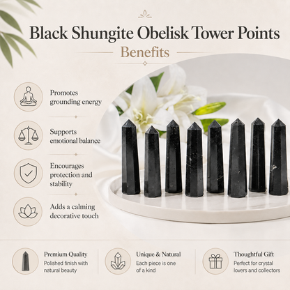 Black Shungite Tower Point (Purification and Inflammation)  DestGlow