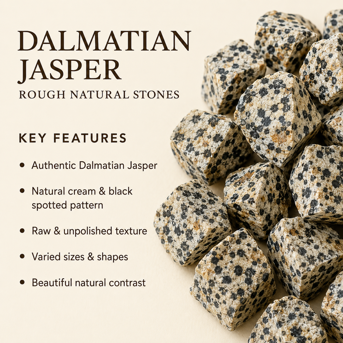 Dalmatian Jasper Rough Rocks (Grounding Energy and Good Fortune)  DestGlow
