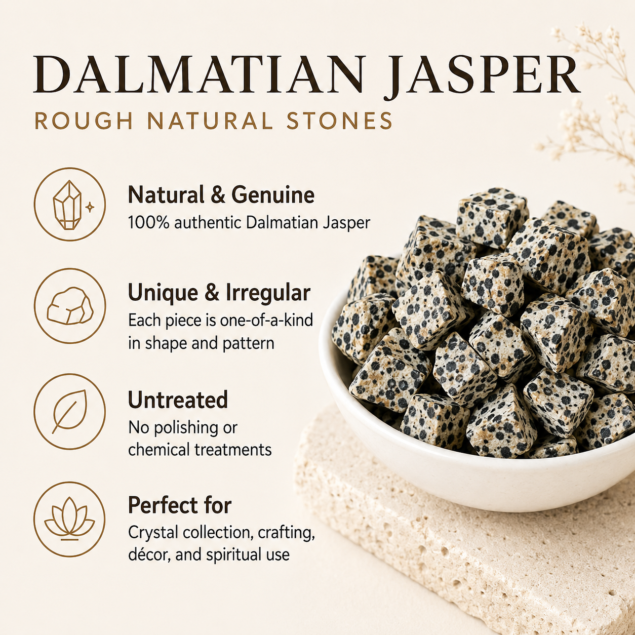 Dalmatian Jasper Rough Rocks (Grounding Energy and Good Fortune)  DestGlow
