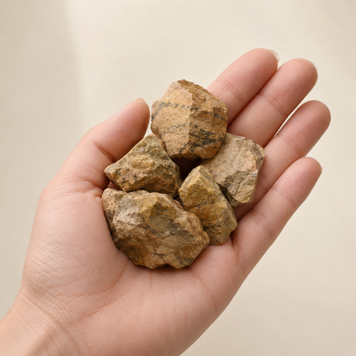 Picture Jasper Rough Stones, 1 inch Picture Jasper Raw Stone  DestGlow