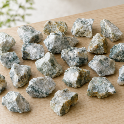 Tree Agate Rough Rocks (Trust and Self-Discipline)  DestGlow