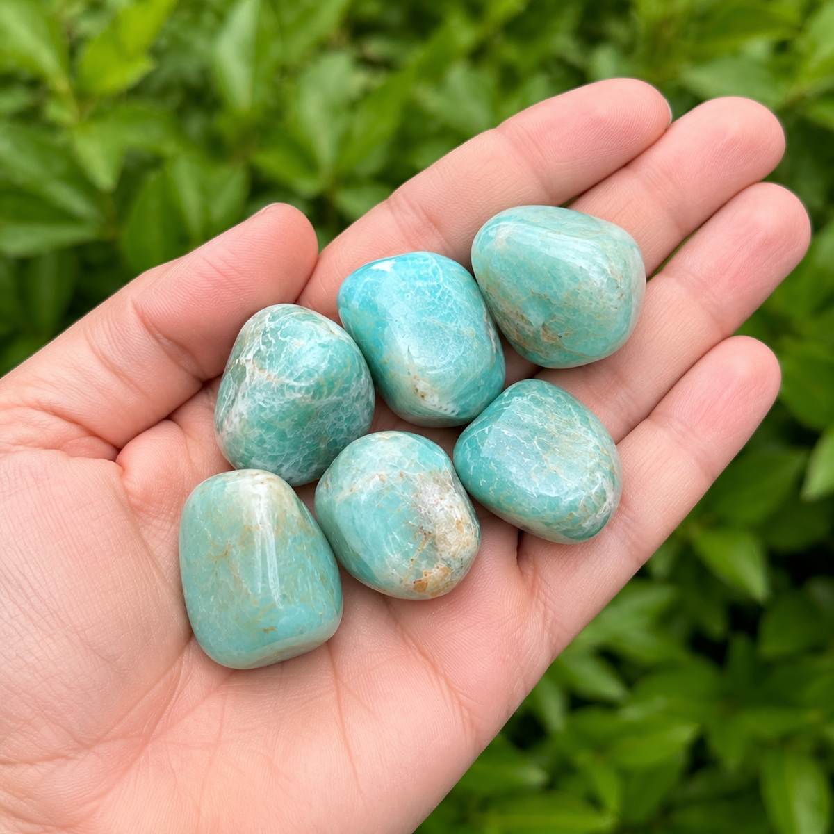 Amazonite Tumbled Crystals(Alignment Of Chakra &amp; Breaking Addictions)  DestGlow