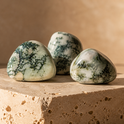 Tree Agate Tumbled Crystals (Knowledge and Trust)  DestGlow