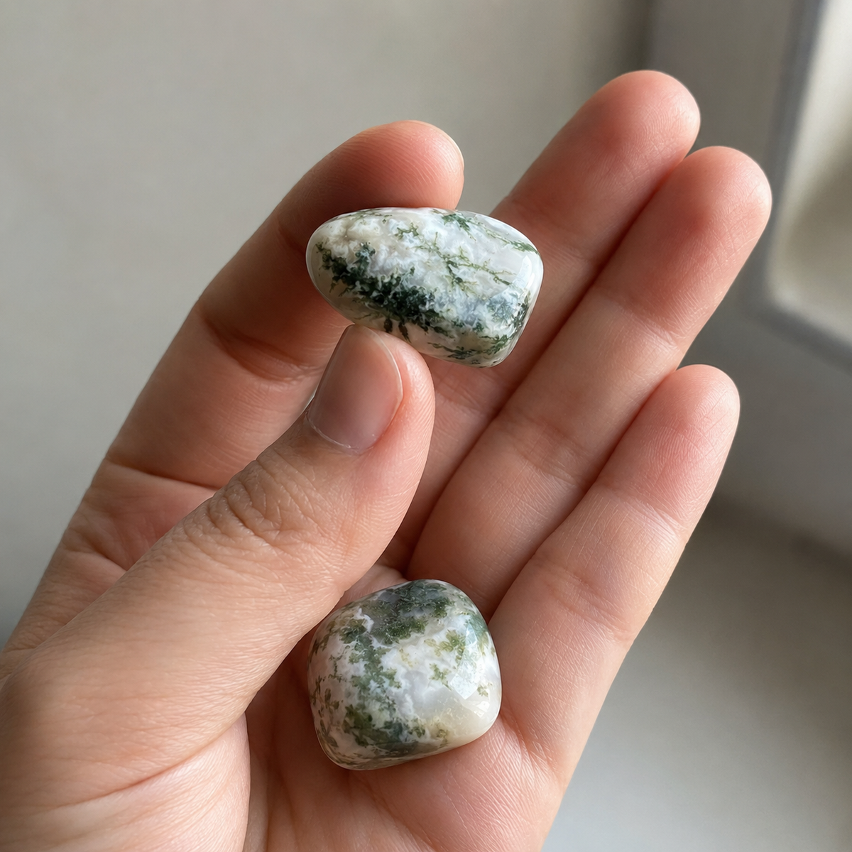 Tree Agate Tumbled Crystals (Knowledge and Trust)  DestGlow